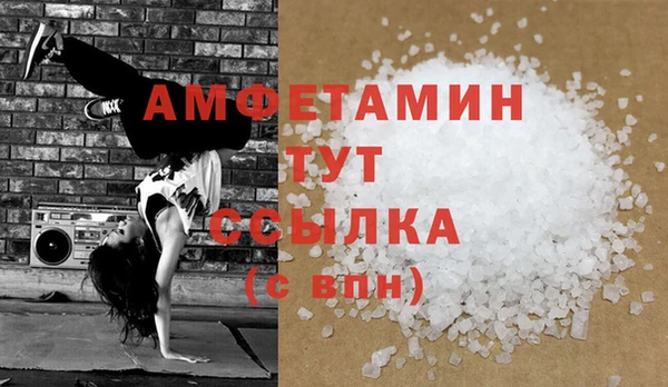 индика Беломорск