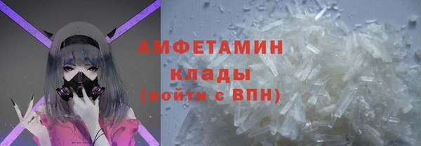 индика Беломорск