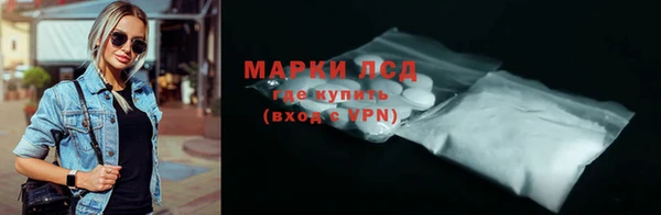 индика Беломорск
