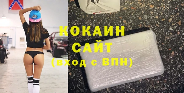 индика Беломорск