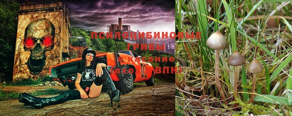 2c-b Сосновый Бор