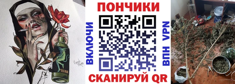цены наркотик hydra ссылка Каннабис сатива Ленинск-Кузнецкий